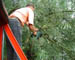 x101 Chainsaw
